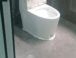 衛(wèi)生間有異味，有什么去除小技巧呢？