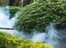 四害消殺完成后，需要做哪些鞏固工作呢？